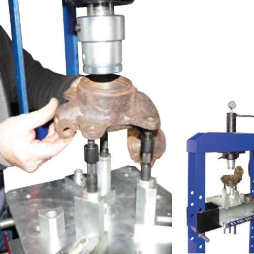pm - 1-cb812625(500x500)